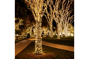 Waterproof LED Outdoor Christmas Lights IP44 Rated Dimmable 2700K Warm White String Light Decoration With 10M-100M Length
