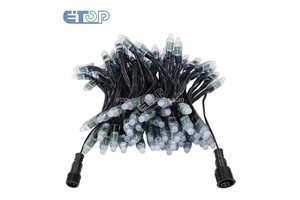 ETOP DC12V WS2811 IP68 Pixel Chain Light 50 LEDs 100 LEDs Smart Control 18AWG Wire Bullet LED Pixel String Christmas Outdoor