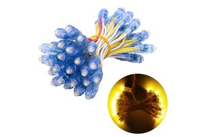 Hot Sale Factory Direct Sale 12V Led Pixel 12mm Single Color Christmas Pixel LED Light
