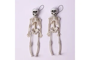 Halloween Mini Skeleton Decorations 30cm Full Body With Hanging Rope For Halloween Party, Wall, Door & Haunted House Props