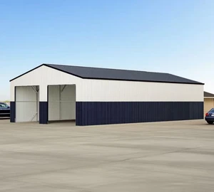 CG2541-H305 25 X 41 Ft Prefab Garage Car Garage Design Easy Assemble Steel Garage