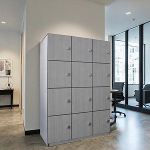 Cartmay 6 9 12 Door Box Gym Locker Cabinet Changing Room Steel Metal HPL Safety Storage Lockers