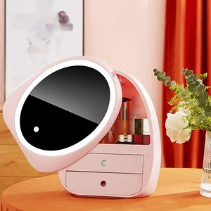 Led Light Cosmetics Storage Box Desktop Dustproof Large Capacity With Mirror Lipstick Makeup Storage Box