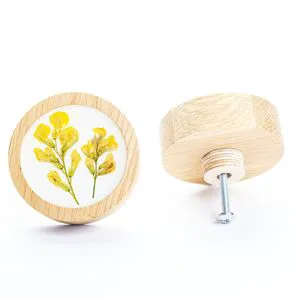 Modern Home Furniture Cabinet Organizers with Multi-Design Resin and Wooden Knobs