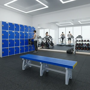 Customizable Eco-Friendly Durable Wholesale Price Plastic Compact Lockers For Gym Fitness Center Sports Club Indoor Outdoor