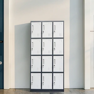 Modern 12-Door Assembled Metal Locker Cabinet with Key Lock Waterproof Design for Commercial Clothes Storage