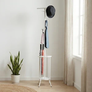 Minimalist White Metal Coat Rack Storage Holders & Racks with Umbrella Stand and Hat Hook Shoes Living Room Iron Brown Box TW