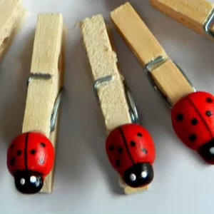 GREENSIDE Manufacturer High Quality Light Weight Clothes Clips Multi-functional Wooden Clips 6pcs