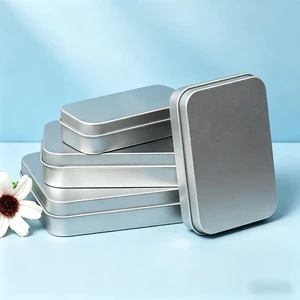Eco-friendly Rectangular Tinplate Tin Can USB Flash Drive & Nail Storage Box Flip-Top Window Matte Craft Metal Canister
