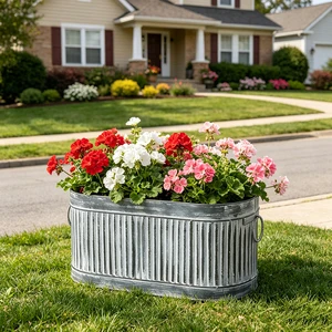 Galvanized Metal Belly Bucket Planter For French Country Flower Display