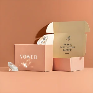 Hot Sale Custom Large Fold Corrugated Airplane Box Print Logo Packaging Mailer Box Shoe Boxes