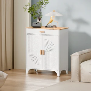 Modern New Arrival Steel MDF Top 2 Door Mesh Office Organization Adjustable Feet Sideboard Document Storage Cabinet