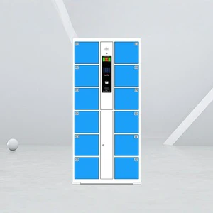 CE Certified 12 Door Metal QR Code Fingerprint Automatic Storage Cabinet for Supermarket Warehouse Smart Locker