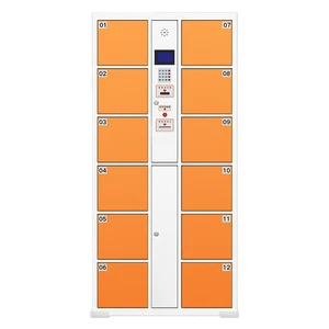 Customized Metal Gym Locker Box Automatic Fingerprint Steel Luggage Golf Bag Storage Locker Steel Storage Locker Cabinet