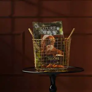 Beautiful Brass Plated Iron Wire Basket Dia-10 H-10 BS208 0.55 KG
