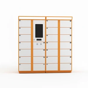 Self Service Shoe Laundry Locker for Hotels Serviced Apartments and Resorts with Web Backend and Remote Monitoring Assembled