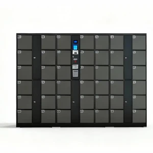 Modern Intelligent Electronic Smart Locker with Coin and Digital Metal Storage for Gym and Supermarket Use