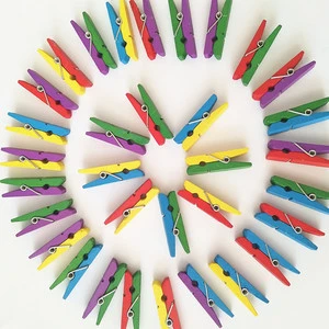 High Quality Eco-Friendly Small Wood Clothes Pegs PP Clips 35mm for Clothing-Premium