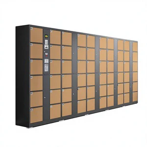 60-Door Intelligent Electronic Storage Locker with Infrared Barcode, Mall & Supermarket Deposit Cabinet, Color Optional