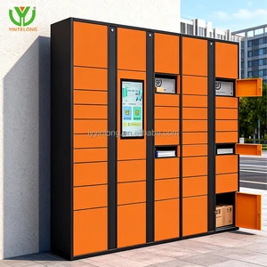 Yinlong OEM Outdoor Smart Parcel Locker Express Package Apartment Campus Intelligent Express Pickup Parcel Delivery Box