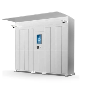 ODMOEM Customized Lockers Laundry and Gym Intelligent Storage Locker with Reinforced Lock Passing CE in Last Mile Delivery