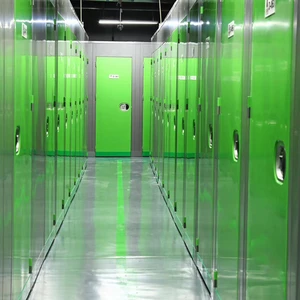 Customized Design Steel Self-storage Outdoor Hotel Storage Cabinet with Electronic Password Lock for Gym and Supermarket Use