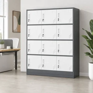 12 Door Steel Locker Cabinet for Office School Gym Staff Storage With Secure Lockable Compartments and Modern Design Furniture