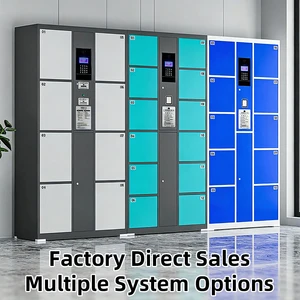 Heavy Duty Steel Electronic Locker Anti-Theft Intelligent Public Storage Cabinet with Multi-Door for School&Library&Mall Use
