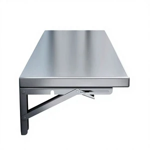 Stainless Steel Folding Wall-Mounted Storage Rack with Holed Design for Kitchen Use Single Tier Rectangle