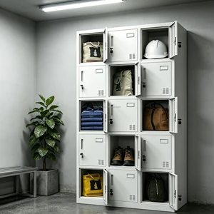 15 Doors Locker Garment Locker Storage Cabinet Steel Gym Locker Staff Dorm School Changing Room Lockers