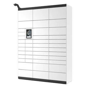 Smart Intelligent Electronic Lock Waterproof Eco-Friendly Metal Assembled Commercial Use Parcel Delivery Storage Lockers