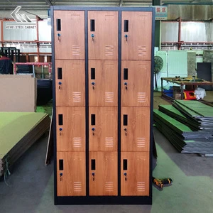 China New Technology Product Wood Transfer Metal Staff Gym School Lockers Steel Lockers 12 Door