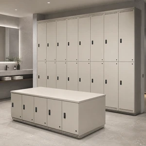 Wholesale Custom HPL Compact Laminate Metal Modern Gym Locker Waterproof Durable Electronic Assembled Commercial Public Storage