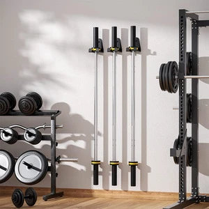 Gym Heavy-duty Fitness Equipment Storage Rack Wall-Mounted Fitness Tool Hook