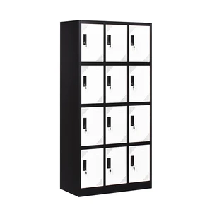 12 Door Locker Cabinet Metal Storage Locker for School Gym Use