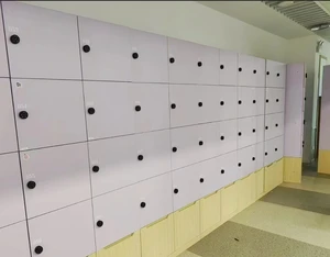 Iron Storage Cabinet with Lock Steel Locker for School Gym Factory Dormitory Workshop for Hotel & Hospital-Includes Shoe Rack