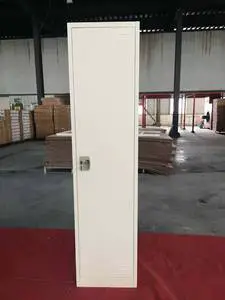 Student Sport Hospital Dormitory Fitness Worker Steel Two Doors Iron Storage Locker Cabinet