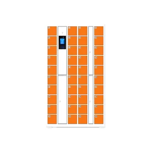 OEM Factory 40-Door Face Recognition Smart Lockers Assembled Gyms Parcel Locker Outdoor Warehousing Supermarket Supplies Luggage