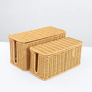 Set 2 Pastoral Style PP Rattan Cable Management Box - Lidded Hidden Storage Organizer Basket for Power Strips & Wires Sockets