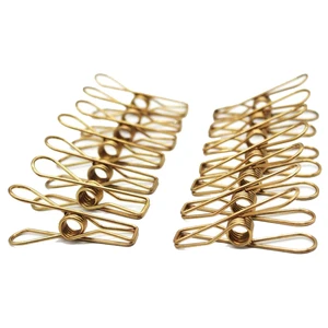 Clothespins Gold Stainless Steel Pegs 20 Piece Stylish Heavy Duty Clothes Pegs Modern & Eco-Friendly 3inch
