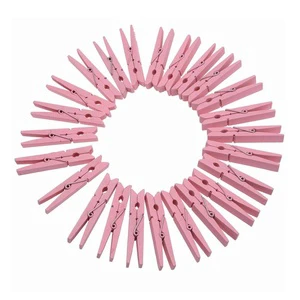 Fashion Cheap Wood Craft Spring Clothespins 24 Pieces Light Pink Clothes Pegs