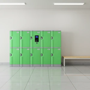 Modern Steel Gym Lockers Cabinet Electronic Lock Key ABS Plastic Waterproof Outdoor Storage Knock-Down Factory Wholesale Offices
