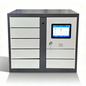 Linqu Smart Touch Screen Electronic Lock Assembled Steel Top Floor Mount Storage Locker Rust Resistant Durable Metal Handle