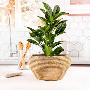 Handwoven Rope Plant Baskets-Eco-Friendly Clothing Storage & Home Decor Multifunction Design Simple Style ArtisRaw