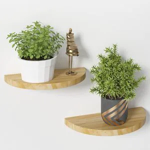 New Update Semicircle Modern Solid Wood Wall Shelf Shelves Home Decor Storage Rack Living Room Bedroom Furniture