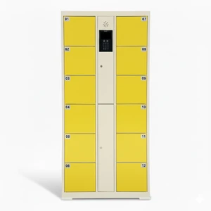 Smart Assembled Metal Electronic Locker Barcode PIN Fingerprint Access Durable Rust Resistant for School Gym Laundry Beach Use