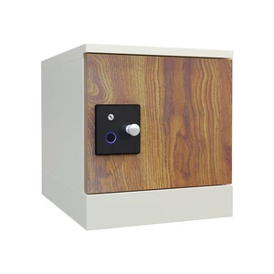 Headleader Armario Assemble Steel Lockers Single Metal Locker Cabinet Cheap School Locker with Fingerprint Lock
