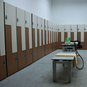 Modern School HPL Fireproof 12mm Solid Compact Wood Storage Locker Waterproof for Gym and Hospital Use