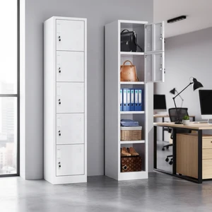 Morden 5 Door Assembled Metal Storage Locker 5 Tier Ventilation Key Electronic Durable Eco-Friendly Gym Offices Employee Student