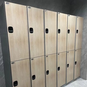 Durable Waterproof ABS Plastic Storage Locker Woodgrain Wardrobe Design For Gym Or Changing Room Use